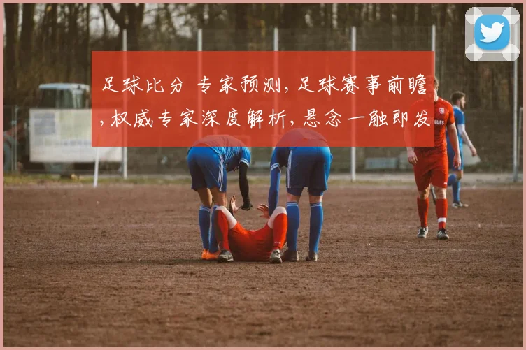 足球比分 专家预测,足球赛事前瞻,权威专家深度解析,悬念一触即发,谁将问鼎冠军
