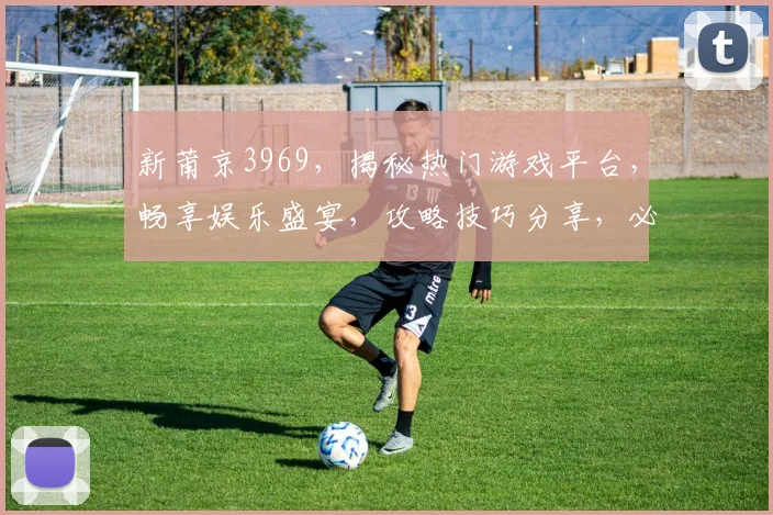 新莆京3969，揭秘热门游戏平台，畅享娱乐盛宴，攻略技巧分享，必看攻略