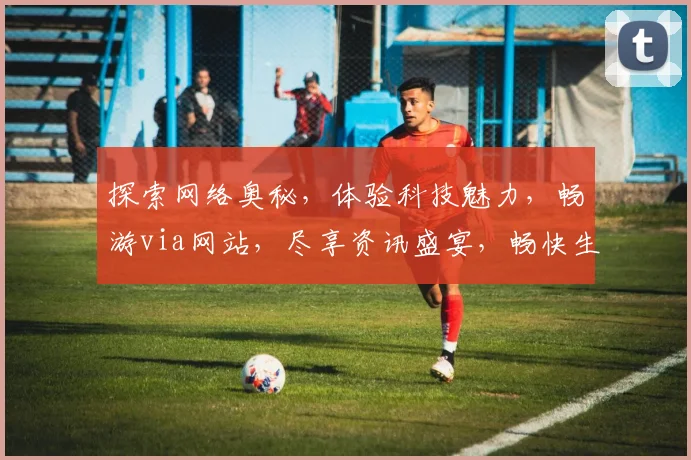 探索网络奥秘，体验科技魅力，畅游via网站，尽享资讯盛宴，畅快生活，三步直达